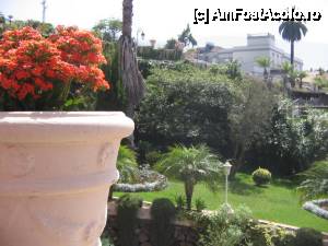 [P33] La Orotava, detaliu din gradina in trepte » foto by dianabzs
 - 
<span class="allrVoted glyphicon glyphicon-heart hidden" id="av422062"></span>
<a class="m-l-10 hidden" id="sv422062" onclick="voting_Foto_DelVot(,422062,4873)" role="button">șterge vot <span class="glyphicon glyphicon-remove"></span></a>
<a id="v9422062" class=" c-red"  onclick="voting_Foto_SetVot(422062)" role="button"><span class="glyphicon glyphicon-heart-empty"></span> <b>LIKE</b> = Votează poza</a> <img class="hidden"  id="f422062W9" src="/imagini/loader.gif" border="0" /><span class="AjErrMes hidden" id="e422062ErM"></span>