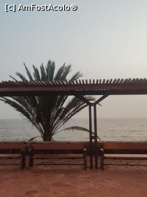 [P18]  -- <small>// FĂRĂ DESCRIERE</small> » foto by valeon
 - 
<span class="allrVoted glyphicon glyphicon-heart hidden" id="av1240190"></span>
<a class="m-l-10 hidden" id="sv1240190" onclick="voting_Foto_DelVot(,1240190,4873)" role="button">șterge vot <span class="glyphicon glyphicon-remove"></span></a>
<a id="v91240190" class=" c-red"  onclick="voting_Foto_SetVot(1240190)" role="button"><span class="glyphicon glyphicon-heart-empty"></span> <b>LIKE</b> = Votează poza</a> <img class="hidden"  id="f1240190W9" src="/imagini/loader.gif" border="0" /><span class="AjErrMes hidden" id="e1240190ErM"></span>