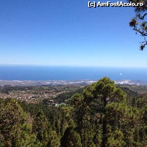 [P02] Pe drumul spre El Teide » foto by razvan1977
 - 
<span class="allrVoted glyphicon glyphicon-heart hidden" id="av566783"></span>
<a class="m-l-10 hidden" id="sv566783" onclick="voting_Foto_DelVot(,566783,4873)" role="button">șterge vot <span class="glyphicon glyphicon-remove"></span></a>
<a id="v9566783" class=" c-red"  onclick="voting_Foto_SetVot(566783)" role="button"><span class="glyphicon glyphicon-heart-empty"></span> <b>LIKE</b> = Votează poza</a> <img class="hidden"  id="f566783W9" src="/imagini/loader.gif" border="0" /><span class="AjErrMes hidden" id="e566783ErM"></span>