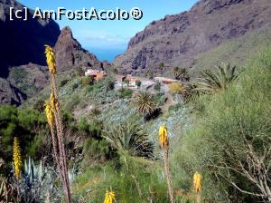 [P12] Masca, sau satul ascuns.  » foto by adriana76
 - 
<span class="allrVoted glyphicon glyphicon-heart hidden" id="av996816"></span>
<a class="m-l-10 hidden" id="sv996816" onclick="voting_Foto_DelVot(,996816,4873)" role="button">șterge vot <span class="glyphicon glyphicon-remove"></span></a>
<a id="v9996816" class=" c-red"  onclick="voting_Foto_SetVot(996816)" role="button"><span class="glyphicon glyphicon-heart-empty"></span> <b>LIKE</b> = Votează poza</a> <img class="hidden"  id="f996816W9" src="/imagini/loader.gif" border="0" /><span class="AjErrMes hidden" id="e996816ErM"></span>