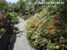 [P01] Jungle Park-alee cu flori prin parc » foto by iorgulescua
 - 
<span class="allrVoted glyphicon glyphicon-heart hidden" id="av260873"></span>
<a class="m-l-10 hidden" id="sv260873" onclick="voting_Foto_DelVot(,260873,4873)" role="button">șterge vot <span class="glyphicon glyphicon-remove"></span></a>
<a id="v9260873" class=" c-red"  onclick="voting_Foto_SetVot(260873)" role="button"><span class="glyphicon glyphicon-heart-empty"></span> <b>LIKE</b> = Votează poza</a> <img class="hidden"  id="f260873W9" src="/imagini/loader.gif" border="0" /><span class="AjErrMes hidden" id="e260873ErM"></span>