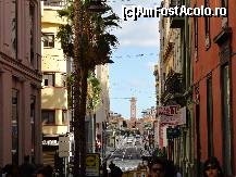 [P11] Santa Cruz de Tenerife-pe strada » foto by iorgulescua
 - 
<span class="allrVoted glyphicon glyphicon-heart hidden" id="av260891"></span>
<a class="m-l-10 hidden" id="sv260891" onclick="voting_Foto_DelVot(,260891,4873)" role="button">șterge vot <span class="glyphicon glyphicon-remove"></span></a>
<a id="v9260891" class=" c-red"  onclick="voting_Foto_SetVot(260891)" role="button"><span class="glyphicon glyphicon-heart-empty"></span> <b>LIKE</b> = Votează poza</a> <img class="hidden"  id="f260891W9" src="/imagini/loader.gif" border="0" /><span class="AjErrMes hidden" id="e260891ErM"></span>