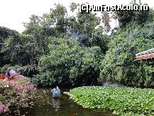 [P16] Loro Parque-lacul de la intrare » foto by iorgulescua
 - 
<span class="allrVoted glyphicon glyphicon-heart hidden" id="av260907"></span>
<a class="m-l-10 hidden" id="sv260907" onclick="voting_Foto_DelVot(,260907,4873)" role="button">șterge vot <span class="glyphicon glyphicon-remove"></span></a>
<a id="v9260907" class=" c-red"  onclick="voting_Foto_SetVot(260907)" role="button"><span class="glyphicon glyphicon-heart-empty"></span> <b>LIKE</b> = Votează poza</a> <img class="hidden"  id="f260907W9" src="/imagini/loader.gif" border="0" /><span class="AjErrMes hidden" id="e260907ErM"></span>