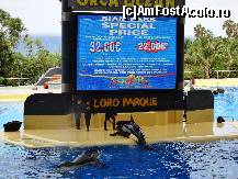 [P19] LORO PARQUE-show de orci » foto by iorgulescua
 - 
<span class="allrVoted glyphicon glyphicon-heart hidden" id="av260921"></span>
<a class="m-l-10 hidden" id="sv260921" onclick="voting_Foto_DelVot(,260921,4873)" role="button">șterge vot <span class="glyphicon glyphicon-remove"></span></a>
<a id="v9260921" class=" c-red"  onclick="voting_Foto_SetVot(260921)" role="button"><span class="glyphicon glyphicon-heart-empty"></span> <b>LIKE</b> = Votează poza</a> <img class="hidden"  id="f260921W9" src="/imagini/loader.gif" border="0" /><span class="AjErrMes hidden" id="e260921ErM"></span>