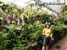 [P23] LORO PARQUE-sera de orhidee » foto by iorgulescua
 - 
<span class="allrVoted glyphicon glyphicon-heart hidden" id="av260931"></span>
<a class="m-l-10 hidden" id="sv260931" onclick="voting_Foto_DelVot(,260931,4873)" role="button">șterge vot <span class="glyphicon glyphicon-remove"></span></a>
<a id="v9260931" class=" c-red"  onclick="voting_Foto_SetVot(260931)" role="button"><span class="glyphicon glyphicon-heart-empty"></span> <b>LIKE</b> = Votează poza</a> <img class="hidden"  id="f260931W9" src="/imagini/loader.gif" border="0" /><span class="AjErrMes hidden" id="e260931ErM"></span>