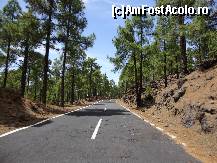 [P34] pe drumul spre TEIDE » foto by iorgulescua
 - 
<span class="allrVoted glyphicon glyphicon-heart hidden" id="av260942"></span>
<a class="m-l-10 hidden" id="sv260942" onclick="voting_Foto_DelVot(,260942,4873)" role="button">șterge vot <span class="glyphicon glyphicon-remove"></span></a>
<a id="v9260942" class=" c-red"  onclick="voting_Foto_SetVot(260942)" role="button"><span class="glyphicon glyphicon-heart-empty"></span> <b>LIKE</b> = Votează poza</a> <img class="hidden"  id="f260942W9" src="/imagini/loader.gif" border="0" /><span class="AjErrMes hidden" id="e260942ErM"></span>