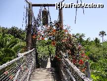 [P04] Jungle Park-unul din podurile suspendate prin parc » foto by iorgulescua
 - 
<span class="allrVoted glyphicon glyphicon-heart hidden" id="av260876"></span>
<a class="m-l-10 hidden" id="sv260876" onclick="voting_Foto_DelVot(,260876,4873)" role="button">șterge vot <span class="glyphicon glyphicon-remove"></span></a>
<a id="v9260876" class=" c-red"  onclick="voting_Foto_SetVot(260876)" role="button"><span class="glyphicon glyphicon-heart-empty"></span> <b>LIKE</b> = Votează poza</a> <img class="hidden"  id="f260876W9" src="/imagini/loader.gif" border="0" /><span class="AjErrMes hidden" id="e260876ErM"></span>
