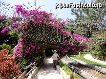 [P07] Jungle park-pirtia de bob » foto by iorgulescua
 - 
<span class="allrVoted glyphicon glyphicon-heart hidden" id="av260884"></span>
<a class="m-l-10 hidden" id="sv260884" onclick="voting_Foto_DelVot(,260884,4873)" role="button">șterge vot <span class="glyphicon glyphicon-remove"></span></a>
<a id="v9260884" class=" c-red"  onclick="voting_Foto_SetVot(260884)" role="button"><span class="glyphicon glyphicon-heart-empty"></span> <b>LIKE</b> = Votează poza</a> <img class="hidden"  id="f260884W9" src="/imagini/loader.gif" border="0" /><span class="AjErrMes hidden" id="e260884ErM"></span>