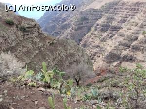 [P14] Fărâmă din Valle Gran Rey - La Gomera » foto by Marius 72
 - 
<span class="allrVoted glyphicon glyphicon-heart hidden" id="av1407109"></span>
<a class="m-l-10 hidden" id="sv1407109" onclick="voting_Foto_DelVot(,1407109,4873)" role="button">șterge vot <span class="glyphicon glyphicon-remove"></span></a>
<a id="v91407109" class=" c-red"  onclick="voting_Foto_SetVot(1407109)" role="button"><span class="glyphicon glyphicon-heart-empty"></span> <b>LIKE</b> = Votează poza</a> <img class="hidden"  id="f1407109W9" src="/imagini/loader.gif" border="0" /><span class="AjErrMes hidden" id="e1407109ErM"></span>