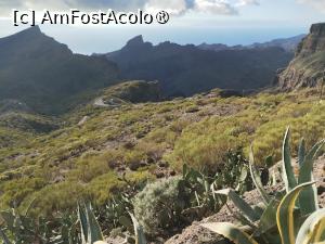 [P11] Verdeaţă de Tenerife » foto by Marius 72
 - 
<span class="allrVoted glyphicon glyphicon-heart hidden" id="av1408451"></span>
<a class="m-l-10 hidden" id="sv1408451" onclick="voting_Foto_DelVot(,1408451,4873)" role="button">șterge vot <span class="glyphicon glyphicon-remove"></span></a>
<a id="v91408451" class=" c-red"  onclick="voting_Foto_SetVot(1408451)" role="button"><span class="glyphicon glyphicon-heart-empty"></span> <b>LIKE</b> = Votează poza</a> <img class="hidden"  id="f1408451W9" src="/imagini/loader.gif" border="0" /><span class="AjErrMes hidden" id="e1408451ErM"></span>