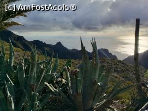 [P12] Una din miile de tufe de aloe vera » foto by Marius 72
 - 
<span class="allrVoted glyphicon glyphicon-heart hidden" id="av1408452"></span>
<a class="m-l-10 hidden" id="sv1408452" onclick="voting_Foto_DelVot(,1408452,4873)" role="button">șterge vot <span class="glyphicon glyphicon-remove"></span></a>
<a id="v91408452" class=" c-red"  onclick="voting_Foto_SetVot(1408452)" role="button"><span class="glyphicon glyphicon-heart-empty"></span> <b>LIKE</b> = Votează poza</a> <img class="hidden"  id="f1408452W9" src="/imagini/loader.gif" border="0" /><span class="AjErrMes hidden" id="e1408452ErM"></span>