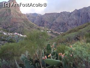 [P06] Masca » foto by Marius 72
 - 
<span class="allrVoted glyphicon glyphicon-heart hidden" id="av1408446"></span>
<a class="m-l-10 hidden" id="sv1408446" onclick="voting_Foto_DelVot(,1408446,4873)" role="button">șterge vot <span class="glyphicon glyphicon-remove"></span></a>
<a id="v91408446" class=" c-red"  onclick="voting_Foto_SetVot(1408446)" role="button"><span class="glyphicon glyphicon-heart-empty"></span> <b>LIKE</b> = Votează poza</a> <img class="hidden"  id="f1408446W9" src="/imagini/loader.gif" border="0" /><span class="AjErrMes hidden" id="e1408446ErM"></span>