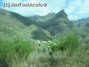 [P21] Parcul national El Teide » foto by Michi
 - 
<span class="allrVoted glyphicon glyphicon-heart hidden" id="av909076"></span>
<a class="m-l-10 hidden" id="sv909076" onclick="voting_Foto_DelVot(,909076,4873)" role="button">șterge vot <span class="glyphicon glyphicon-remove"></span></a>
<a id="v9909076" class=" c-red"  onclick="voting_Foto_SetVot(909076)" role="button"><span class="glyphicon glyphicon-heart-empty"></span> <b>LIKE</b> = Votează poza</a> <img class="hidden"  id="f909076W9" src="/imagini/loader.gif" border="0" /><span class="AjErrMes hidden" id="e909076ErM"></span>