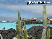 [P18] Acelasi Lago Martianez desprins dintr-un cadru feeric » foto by cami1212
 - 
<span class="allrVoted glyphicon glyphicon-heart hidden" id="av80528"></span>
<a class="m-l-10 hidden" id="sv80528" onclick="voting_Foto_DelVot(,80528,4873)" role="button">șterge vot <span class="glyphicon glyphicon-remove"></span></a>
<a id="v980528" class=" c-red"  onclick="voting_Foto_SetVot(80528)" role="button"><span class="glyphicon glyphicon-heart-empty"></span> <b>LIKE</b> = Votează poza</a> <img class="hidden"  id="f80528W9" src="/imagini/loader.gif" border="0" /><span class="AjErrMes hidden" id="e80528ErM"></span>