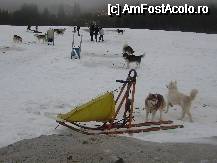 [P03]  -- <small>// FĂRĂ DESCRIERE</small> » foto by geni
 - 
<span class="allrVoted glyphicon glyphicon-heart hidden" id="av47568"></span>
<a class="m-l-10 hidden" id="sv47568" onclick="voting_Foto_DelVot(,47568,4884)" role="button">șterge vot <span class="glyphicon glyphicon-remove"></span></a>
<a id="v947568" class=" c-red"  onclick="voting_Foto_SetVot(47568)" role="button"><span class="glyphicon glyphicon-heart-empty"></span> <b>LIKE</b> = Votează poza</a> <img class="hidden"  id="f47568W9" src="/imagini/loader.gif" border="0" /><span class="AjErrMes hidden" id="e47568ErM"></span>