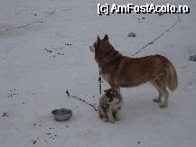 [P08]  -- <small>// FĂRĂ DESCRIERE</small> » foto by geni
 - 
<span class="allrVoted glyphicon glyphicon-heart hidden" id="av47575"></span>
<a class="m-l-10 hidden" id="sv47575" onclick="voting_Foto_DelVot(,47575,4884)" role="button">șterge vot <span class="glyphicon glyphicon-remove"></span></a>
<a id="v947575" class=" c-red"  onclick="voting_Foto_SetVot(47575)" role="button"><span class="glyphicon glyphicon-heart-empty"></span> <b>LIKE</b> = Votează poza</a> <img class="hidden"  id="f47575W9" src="/imagini/loader.gif" border="0" /><span class="AjErrMes hidden" id="e47575ErM"></span>