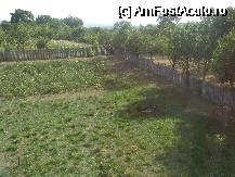 [P17] Gradina din spatele pensiunii » foto by corinne
 - 
<span class="allrVoted glyphicon glyphicon-heart hidden" id="av47585"></span>
<a class="m-l-10 hidden" id="sv47585" onclick="voting_Foto_DelVot(,47585,4887)" role="button">șterge vot <span class="glyphicon glyphicon-remove"></span></a>
<a id="v947585" class=" c-red"  onclick="voting_Foto_SetVot(47585)" role="button"><span class="glyphicon glyphicon-heart-empty"></span> <b>LIKE</b> = Votează poza</a> <img class="hidden"  id="f47585W9" src="/imagini/loader.gif" border="0" /><span class="AjErrMes hidden" id="e47585ErM"></span>