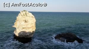 [P24] Tyulenovo -... modelat de mare » foto by hcm
 - 
<span class="allrVoted glyphicon glyphicon-heart hidden" id="av890320"></span>
<a class="m-l-10 hidden" id="sv890320" onclick="voting_Foto_DelVot(,890320,4891)" role="button">șterge vot <span class="glyphicon glyphicon-remove"></span></a>
<a id="v9890320" class=" c-red"  onclick="voting_Foto_SetVot(890320)" role="button"><span class="glyphicon glyphicon-heart-empty"></span> <b>LIKE</b> = Votează poza</a> <img class="hidden"  id="f890320W9" src="/imagini/loader.gif" border="0" /><span class="AjErrMes hidden" id="e890320ErM"></span>