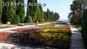 [P09] Covorul de flori » foto by hcm
 - 
<span class="allrVoted glyphicon glyphicon-heart hidden" id="av890305"></span>
<a class="m-l-10 hidden" id="sv890305" onclick="voting_Foto_DelVot(,890305,4891)" role="button">șterge vot <span class="glyphicon glyphicon-remove"></span></a>
<a id="v9890305" class=" c-red"  onclick="voting_Foto_SetVot(890305)" role="button"><span class="glyphicon glyphicon-heart-empty"></span> <b>LIKE</b> = Votează poza</a> <img class="hidden"  id="f890305W9" src="/imagini/loader.gif" border="0" /><span class="AjErrMes hidden" id="e890305ErM"></span>