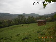 [P01] Pasunea de langa Manastirea Govora » foto by verobutterfly
 - 
<span class="allrVoted glyphicon glyphicon-heart hidden" id="av147004"></span>
<a class="m-l-10 hidden" id="sv147004" onclick="voting_Foto_DelVot(,147004,4898)" role="button">șterge vot <span class="glyphicon glyphicon-remove"></span></a>
<a id="v9147004" class=" c-red"  onclick="voting_Foto_SetVot(147004)" role="button"><span class="glyphicon glyphicon-heart-empty"></span> <b>LIKE</b> = Votează poza</a> <img class="hidden"  id="f147004W9" src="/imagini/loader.gif" border="0" /><span class="AjErrMes hidden" id="e147004ErM"></span>