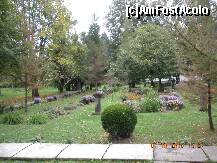 [P40] Parc aflat in aceasi curte » foto by verobutterfly
 - 
<span class="allrVoted glyphicon glyphicon-heart hidden" id="av147054"></span>
<a class="m-l-10 hidden" id="sv147054" onclick="voting_Foto_DelVot(,147054,4898)" role="button">șterge vot <span class="glyphicon glyphicon-remove"></span></a>
<a id="v9147054" class=" c-red"  onclick="voting_Foto_SetVot(147054)" role="button"><span class="glyphicon glyphicon-heart-empty"></span> <b>LIKE</b> = Votează poza</a> <img class="hidden"  id="f147054W9" src="/imagini/loader.gif" border="0" /><span class="AjErrMes hidden" id="e147054ErM"></span>