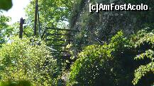 [P14] Balconasul de la intrare in Pestera Liliecilor - vazut din Chelile Bistritei » foto by iuliaen
 - 
<span class="allrVoted glyphicon glyphicon-heart hidden" id="av208110"></span>
<a class="m-l-10 hidden" id="sv208110" onclick="voting_Foto_DelVot(,208110,4898)" role="button">șterge vot <span class="glyphicon glyphicon-remove"></span></a>
<a id="v9208110" class=" c-red"  onclick="voting_Foto_SetVot(208110)" role="button"><span class="glyphicon glyphicon-heart-empty"></span> <b>LIKE</b> = Votează poza</a> <img class="hidden"  id="f208110W9" src="/imagini/loader.gif" border="0" /><span class="AjErrMes hidden" id="e208110ErM"></span>