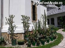 [P10] Manastire Tismana si o colectie frumoasa de cactusi » foto by ancamariagadea*
 - 
<span class="allrVoted glyphicon glyphicon-heart hidden" id="av77830"></span>
<a class="m-l-10 hidden" id="sv77830" onclick="voting_Foto_DelVot(,77830,4898)" role="button">șterge vot <span class="glyphicon glyphicon-remove"></span></a>
<a id="v977830" class=" c-red"  onclick="voting_Foto_SetVot(77830)" role="button"><span class="glyphicon glyphicon-heart-empty"></span> <b>LIKE</b> = Votează poza</a> <img class="hidden"  id="f77830W9" src="/imagini/loader.gif" border="0" /><span class="AjErrMes hidden" id="e77830ErM"></span>