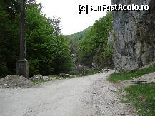 [P02]  -- <small>// FĂRĂ DESCRIERE</small> » foto by vtudor58
 - 
<span class="allrVoted glyphicon glyphicon-heart hidden" id="av79308"></span>
<a class="m-l-10 hidden" id="sv79308" onclick="voting_Foto_DelVot(,79308,4898)" role="button">șterge vot <span class="glyphicon glyphicon-remove"></span></a>
<a id="v979308" class=" c-red"  onclick="voting_Foto_SetVot(79308)" role="button"><span class="glyphicon glyphicon-heart-empty"></span> <b>LIKE</b> = Votează poza</a> <img class="hidden"  id="f79308W9" src="/imagini/loader.gif" border="0" /><span class="AjErrMes hidden" id="e79308ErM"></span>
