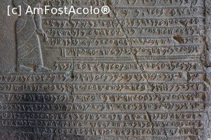[P04]  -- <small>// FĂRĂ DESCRIERE</small> » foto by fra
 - 
<span class="allrVoted glyphicon glyphicon-heart hidden" id="av706005"></span>
<a class="m-l-10 hidden" id="sv706005" onclick="voting_Foto_DelVot(,706005,4900)" role="button">șterge vot <span class="glyphicon glyphicon-remove"></span></a>
<a id="v9706005" class=" c-red"  onclick="voting_Foto_SetVot(706005)" role="button"><span class="glyphicon glyphicon-heart-empty"></span> <b>LIKE</b> = Votează poza</a> <img class="hidden"  id="f706005W9" src="/imagini/loader.gif" border="0" /><span class="AjErrMes hidden" id="e706005ErM"></span>