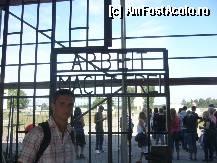 [P20]  -- <small>// FĂRĂ DESCRIERE</small> » foto by ovidiu.gore <span class="label label-default labelC_thin small">NEVOTABILĂ</span>