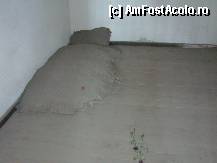 [P21]  -- <small>// FĂRĂ DESCRIERE</small> » foto by ovidiu.gore
 - 
<span class="allrVoted glyphicon glyphicon-heart hidden" id="av292898"></span>
<a class="m-l-10 hidden" id="sv292898" onclick="voting_Foto_DelVot(,292898,4900)" role="button">șterge vot <span class="glyphicon glyphicon-remove"></span></a>
<a id="v9292898" class=" c-red"  onclick="voting_Foto_SetVot(292898)" role="button"><span class="glyphicon glyphicon-heart-empty"></span> <b>LIKE</b> = Votează poza</a> <img class="hidden"  id="f292898W9" src="/imagini/loader.gif" border="0" /><span class="AjErrMes hidden" id="e292898ErM"></span>
