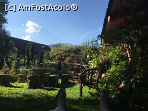 [P20] Sa tot stai in sezlong :)  » foto by Adina - addcont
 - 
<span class="allrVoted glyphicon glyphicon-heart hidden" id="av811892"></span>
<a class="m-l-10 hidden" id="sv811892" onclick="voting_Foto_DelVot(,811892,4902)" role="button">șterge vot <span class="glyphicon glyphicon-remove"></span></a>
<a id="v9811892" class=" c-red"  onclick="voting_Foto_SetVot(811892)" role="button"><span class="glyphicon glyphicon-heart-empty"></span> <b>LIKE</b> = Votează poza</a> <img class="hidden"  id="f811892W9" src="/imagini/loader.gif" border="0" /><span class="AjErrMes hidden" id="e811892ErM"></span>