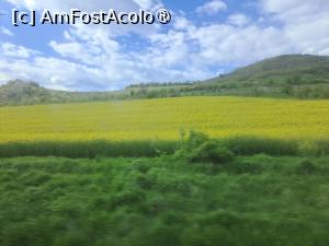 [P11] De la Ghindari, spre Balauseri » foto by LiviuMS
 - 
<span class="allrVoted glyphicon glyphicon-heart hidden" id="av1527725"></span>
<a class="m-l-10 hidden" id="sv1527725" onclick="voting_Foto_DelVot(,1527725,4909)" role="button">șterge vot <span class="glyphicon glyphicon-remove"></span></a>
<a id="v91527725" class=" c-red"  onclick="voting_Foto_SetVot(1527725)" role="button"><span class="glyphicon glyphicon-heart-empty"></span> <b>LIKE</b> = Votează poza</a> <img class="hidden"  id="f1527725W9" src="/imagini/loader.gif" border="0" /><span class="AjErrMes hidden" id="e1527725ErM"></span>