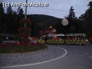 [P22] În zona centrală trenulețul se prezintă periodic la datorie.  » foto by Floryn81
 - 
<span class="allrVoted glyphicon glyphicon-heart hidden" id="av721085"></span>
<a class="m-l-10 hidden" id="sv721085" onclick="voting_Foto_DelVot(,721085,4909)" role="button">șterge vot <span class="glyphicon glyphicon-remove"></span></a>
<a id="v9721085" class=" c-red"  onclick="voting_Foto_SetVot(721085)" role="button"><span class="glyphicon glyphicon-heart-empty"></span> <b>LIKE</b> = Votează poza</a> <img class="hidden"  id="f721085W9" src="/imagini/loader.gif" border="0" /><span class="AjErrMes hidden" id="e721085ErM"></span>