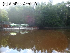[P33] Lacul Aluniș din Sovata.  » foto by Floryn81
 - 
<span class="allrVoted glyphicon glyphicon-heart hidden" id="av721096"></span>
<a class="m-l-10 hidden" id="sv721096" onclick="voting_Foto_DelVot(,721096,4909)" role="button">șterge vot <span class="glyphicon glyphicon-remove"></span></a>
<a id="v9721096" class=" c-red"  onclick="voting_Foto_SetVot(721096)" role="button"><span class="glyphicon glyphicon-heart-empty"></span> <b>LIKE</b> = Votează poza</a> <img class="hidden"  id="f721096W9" src="/imagini/loader.gif" border="0" /><span class="AjErrMes hidden" id="e721096ErM"></span>