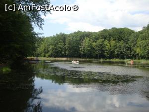 [P57] Admirăm lacul Tineretului din Sovata.  » foto by Floryn81
 - 
<span class="allrVoted glyphicon glyphicon-heart hidden" id="av721120"></span>
<a class="m-l-10 hidden" id="sv721120" onclick="voting_Foto_DelVot(,721120,4909)" role="button">șterge vot <span class="glyphicon glyphicon-remove"></span></a>
<a id="v9721120" class=" c-red"  onclick="voting_Foto_SetVot(721120)" role="button"><span class="glyphicon glyphicon-heart-empty"></span> <b>LIKE</b> = Votează poza</a> <img class="hidden"  id="f721120W9" src="/imagini/loader.gif" border="0" /><span class="AjErrMes hidden" id="e721120ErM"></span>