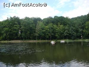 [P62] Ne plimbăm cu barca pe lacul Tineretului din Sovata. Pe deasupra lacului, curajoșii testează traseul unei tiroliene.  » foto by Floryn81
 - 
<span class="allrVoted glyphicon glyphicon-heart hidden" id="av721125"></span>
<a class="m-l-10 hidden" id="sv721125" onclick="voting_Foto_DelVot(,721125,4909)" role="button">șterge vot <span class="glyphicon glyphicon-remove"></span></a>
<a id="v9721125" class=" c-red"  onclick="voting_Foto_SetVot(721125)" role="button"><span class="glyphicon glyphicon-heart-empty"></span> <b>LIKE</b> = Votează poza</a> <img class="hidden"  id="f721125W9" src="/imagini/loader.gif" border="0" /><span class="AjErrMes hidden" id="e721125ErM"></span>