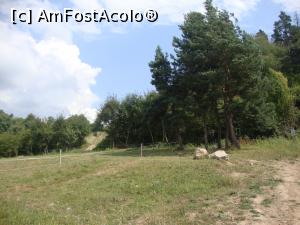 [P14] Urmăm cărarea spre stânga ce urcă spre vârful dealului.  » foto by Floryn81
 - 
<span class="allrVoted glyphicon glyphicon-heart hidden" id="av775453"></span>
<a class="m-l-10 hidden" id="sv775453" onclick="voting_Foto_DelVot(,775453,4909)" role="button">șterge vot <span class="glyphicon glyphicon-remove"></span></a>
<a id="v9775453" class=" c-red"  onclick="voting_Foto_SetVot(775453)" role="button"><span class="glyphicon glyphicon-heart-empty"></span> <b>LIKE</b> = Votează poza</a> <img class="hidden"  id="f775453W9" src="/imagini/loader.gif" border="0" /><span class="AjErrMes hidden" id="e775453ErM"></span>