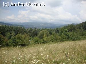 [P16] Ne bucurăm de frumusețea naturii.  » foto by Floryn81
 - 
<span class="allrVoted glyphicon glyphicon-heart hidden" id="av775456"></span>
<a class="m-l-10 hidden" id="sv775456" onclick="voting_Foto_DelVot(,775456,4909)" role="button">șterge vot <span class="glyphicon glyphicon-remove"></span></a>
<a id="v9775456" class=" c-red"  onclick="voting_Foto_SetVot(775456)" role="button"><span class="glyphicon glyphicon-heart-empty"></span> <b>LIKE</b> = Votează poza</a> <img class="hidden"  id="f775456W9" src="/imagini/loader.gif" border="0" /><span class="AjErrMes hidden" id="e775456ErM"></span>