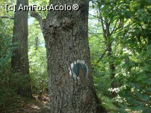 [P21] Marcajul existent pe traseul către acest schit.  » foto by Floryn81
 - 
<span class="allrVoted glyphicon glyphicon-heart hidden" id="av775462"></span>
<a class="m-l-10 hidden" id="sv775462" onclick="voting_Foto_DelVot(,775462,4909)" role="button">șterge vot <span class="glyphicon glyphicon-remove"></span></a>
<a id="v9775462" class=" c-red"  onclick="voting_Foto_SetVot(775462)" role="button"><span class="glyphicon glyphicon-heart-empty"></span> <b>LIKE</b> = Votează poza</a> <img class="hidden"  id="f775462W9" src="/imagini/loader.gif" border="0" /><span class="AjErrMes hidden" id="e775462ErM"></span>