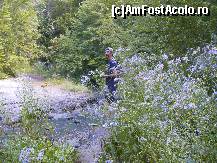 [P24] Sovata - în pădure pe lângă pârâul sărat. N-ai crede că acolo pot creşte aşa flori frumoase.. » foto by Dragoș_MD
 - 
<span class="allrVoted glyphicon glyphicon-heart hidden" id="av123625"></span>
<a class="m-l-10 hidden" id="sv123625" onclick="voting_Foto_DelVot(,123625,4909)" role="button">șterge vot <span class="glyphicon glyphicon-remove"></span></a>
<a id="v9123625" class=" c-red"  onclick="voting_Foto_SetVot(123625)" role="button"><span class="glyphicon glyphicon-heart-empty"></span> <b>LIKE</b> = Votează poza</a> <img class="hidden"  id="f123625W9" src="/imagini/loader.gif" border="0" /><span class="AjErrMes hidden" id="e123625ErM"></span>