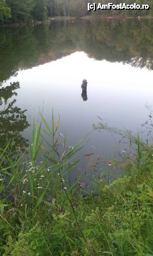 [P12] Scurtă plimbare prin Sovata - Lacul Ursu în amurg » foto by Dragoș_MD
 - 
<span class="allrVoted glyphicon glyphicon-heart hidden" id="av543606"></span>
<a class="m-l-10 hidden" id="sv543606" onclick="voting_Foto_DelVot(,543606,4909)" role="button">șterge vot <span class="glyphicon glyphicon-remove"></span></a>
<a id="v9543606" class=" c-red"  onclick="voting_Foto_SetVot(543606)" role="button"><span class="glyphicon glyphicon-heart-empty"></span> <b>LIKE</b> = Votează poza</a> <img class="hidden"  id="f543606W9" src="/imagini/loader.gif" border="0" /><span class="AjErrMes hidden" id="e543606ErM"></span>