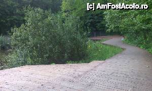 [P04] Scurtă plimbare prin Sovata - Lacul Paraschiva, pontonul; în plan depărtat e un fel de „plajă pe paliere” » foto by Dragoș_MD
 - 
<span class="allrVoted glyphicon glyphicon-heart hidden" id="av543598"></span>
<a class="m-l-10 hidden" id="sv543598" onclick="voting_Foto_DelVot(,543598,4909)" role="button">șterge vot <span class="glyphicon glyphicon-remove"></span></a>
<a id="v9543598" class=" c-red"  onclick="voting_Foto_SetVot(543598)" role="button"><span class="glyphicon glyphicon-heart-empty"></span> <b>LIKE</b> = Votează poza</a> <img class="hidden"  id="f543598W9" src="/imagini/loader.gif" border="0" /><span class="AjErrMes hidden" id="e543598ErM"></span>