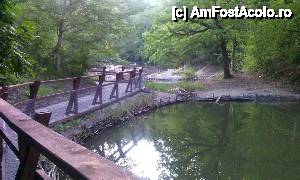 [P05] Scurtă plimbare prin Sovata - Lacul Verde » foto by Dragoș_MD
 - 
<span class="allrVoted glyphicon glyphicon-heart hidden" id="av543599"></span>
<a class="m-l-10 hidden" id="sv543599" onclick="voting_Foto_DelVot(,543599,4909)" role="button">șterge vot <span class="glyphicon glyphicon-remove"></span></a>
<a id="v9543599" class=" c-red"  onclick="voting_Foto_SetVot(543599)" role="button"><span class="glyphicon glyphicon-heart-empty"></span> <b>LIKE</b> = Votează poza</a> <img class="hidden"  id="f543599W9" src="/imagini/loader.gif" border="0" /><span class="AjErrMes hidden" id="e543599ErM"></span>