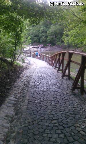 [P07] Scurtă plimbare prin Sovata - Lacul Roșu, spre muntele de sare » foto by Dragoș_MD
 - 
<span class="allrVoted glyphicon glyphicon-heart hidden" id="av543601"></span>
<a class="m-l-10 hidden" id="sv543601" onclick="voting_Foto_DelVot(,543601,4909)" role="button">șterge vot <span class="glyphicon glyphicon-remove"></span></a>
<a id="v9543601" class=" c-red"  onclick="voting_Foto_SetVot(543601)" role="button"><span class="glyphicon glyphicon-heart-empty"></span> <b>LIKE</b> = Votează poza</a> <img class="hidden"  id="f543601W9" src="/imagini/loader.gif" border="0" /><span class="AjErrMes hidden" id="e543601ErM"></span>