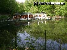 [P04] Lacul Ursu din alta vedere » foto by ildike79
 - 
<span class="allrVoted glyphicon glyphicon-heart hidden" id="av297042"></span>
<a class="m-l-10 hidden" id="sv297042" onclick="voting_Foto_DelVot(,297042,4909)" role="button">șterge vot <span class="glyphicon glyphicon-remove"></span></a>
<a id="v9297042" class=" c-red"  onclick="voting_Foto_SetVot(297042)" role="button"><span class="glyphicon glyphicon-heart-empty"></span> <b>LIKE</b> = Votează poza</a> <img class="hidden"  id="f297042W9" src="/imagini/loader.gif" border="0" /><span class="AjErrMes hidden" id="e297042ErM"></span>