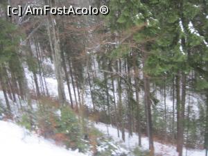 [P43] Partia de schi din Sovata, jud. Mures, vedere spre partie din teleschi » foto by Dana2008
 - 
<span class="allrVoted glyphicon glyphicon-heart hidden" id="av820008"></span>
<a class="m-l-10 hidden" id="sv820008" onclick="voting_Foto_DelVot(,820008,4909)" role="button">șterge vot <span class="glyphicon glyphicon-remove"></span></a>
<a id="v9820008" class=" c-red"  onclick="voting_Foto_SetVot(820008)" role="button"><span class="glyphicon glyphicon-heart-empty"></span> <b>LIKE</b> = Votează poza</a> <img class="hidden"  id="f820008W9" src="/imagini/loader.gif" border="0" /><span class="AjErrMes hidden" id="e820008ErM"></span>