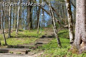 [P13] Sovata, traseul spre Lacul Mierlei, aprilie 2017 » foto by Dana2008
 - 
<span class="allrVoted glyphicon glyphicon-heart hidden" id="av849504"></span>
<a class="m-l-10 hidden" id="sv849504" onclick="voting_Foto_DelVot(,849504,4909)" role="button">șterge vot <span class="glyphicon glyphicon-remove"></span></a>
<a id="v9849504" class=" c-red"  onclick="voting_Foto_SetVot(849504)" role="button"><span class="glyphicon glyphicon-heart-empty"></span> <b>LIKE</b> = Votează poza</a> <img class="hidden"  id="f849504W9" src="/imagini/loader.gif" border="0" /><span class="AjErrMes hidden" id="e849504ErM"></span>