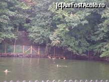 [P11] Sovata - Lacul Alunis - apa nu e chiar atat de calda si de sarata cum e cea din Lacul Ursu » foto by biancuta
 - 
<span class="allrVoted glyphicon glyphicon-heart hidden" id="av104972"></span>
<a class="m-l-10 hidden" id="sv104972" onclick="voting_Foto_DelVot(,104972,4909)" role="button">șterge vot <span class="glyphicon glyphicon-remove"></span></a>
<a id="v9104972" class=" c-red"  onclick="voting_Foto_SetVot(104972)" role="button"><span class="glyphicon glyphicon-heart-empty"></span> <b>LIKE</b> = Votează poza</a> <img class="hidden"  id="f104972W9" src="/imagini/loader.gif" border="0" /><span class="AjErrMes hidden" id="e104972ErM"></span>