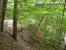 [P14] Sovata - peisaj Lac Alunis » foto by biancuta
 - 
<span class="allrVoted glyphicon glyphicon-heart hidden" id="av104975"></span>
<a class="m-l-10 hidden" id="sv104975" onclick="voting_Foto_DelVot(,104975,4909)" role="button">șterge vot <span class="glyphicon glyphicon-remove"></span></a>
<a id="v9104975" class=" c-red"  onclick="voting_Foto_SetVot(104975)" role="button"><span class="glyphicon glyphicon-heart-empty"></span> <b>LIKE</b> = Votează poza</a> <img class="hidden"  id="f104975W9" src="/imagini/loader.gif" border="0" /><span class="AjErrMes hidden" id="e104975ErM"></span>